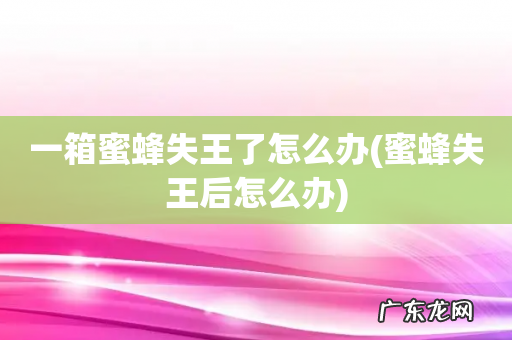 蜜蜂失王后怎么办 一箱蜜蜂失王了怎么办