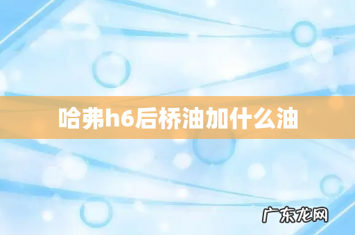 哈弗h6后桥油加什么油