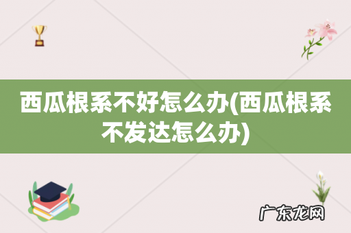 西瓜根系不发达怎么办 西瓜根系不好怎么办