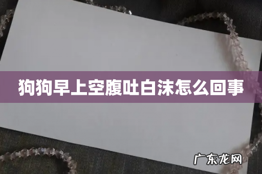 狗狗早上空腹吐白沫怎么回事