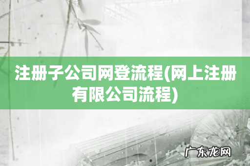 网上注册有限公司流程 注册子公司网登流程