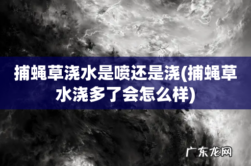 捕蝇草水浇多了会怎么样 捕蝇草浇水是喷还是浇