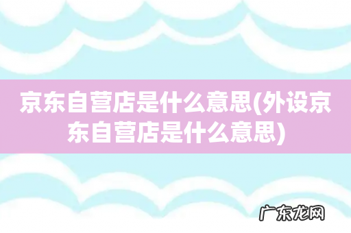 外设京东自营店是什么意思 京东自营店是什么意思