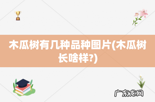 木瓜树长啥样? 木瓜树有几种品种图片