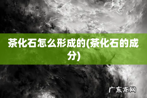 茶化石的成分 茶化石怎么形成的