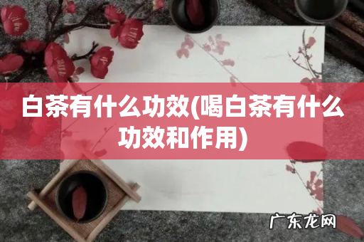 喝白茶有什么功效和作用 白茶有什么功效