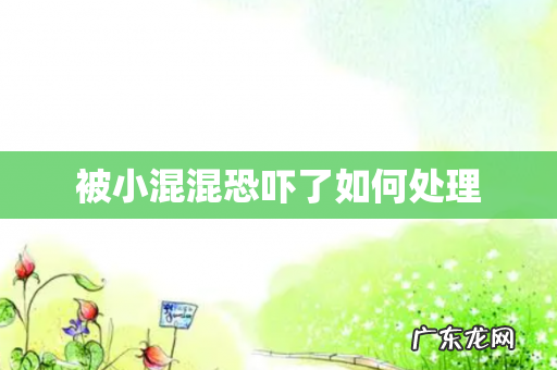 被小混混恐吓了如何处理