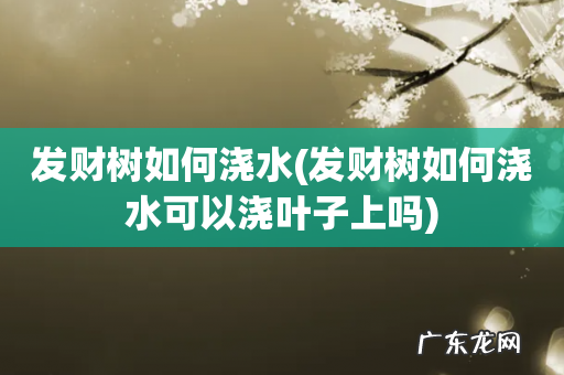 发财树如何浇水可以浇叶子上吗 发财树如何浇水