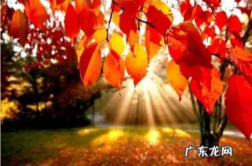 初中英语教师就业前景?