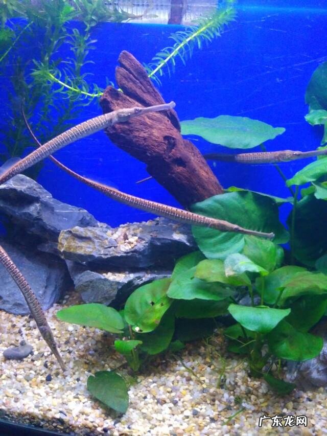 初中英语教师就业前景?