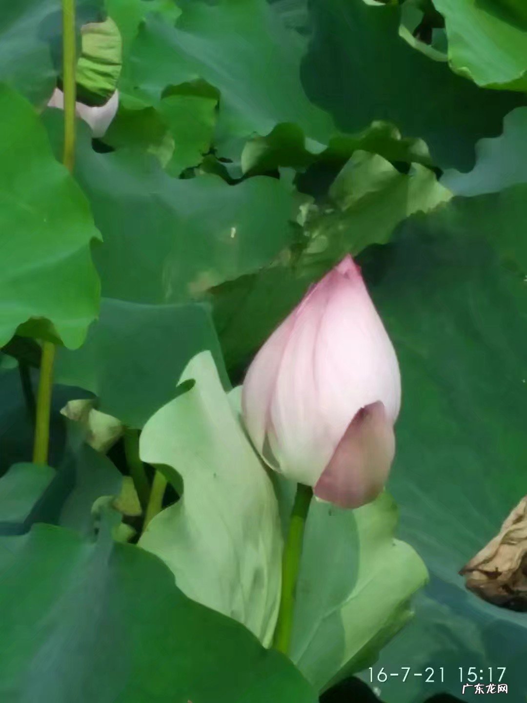 爱是世界上唯一的东西吗?