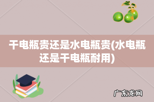 水电瓶还是干电瓶耐用 干电瓶贵还是水电瓶贵