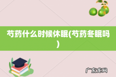 芍药冬眠吗 芍药什么时候休眠
