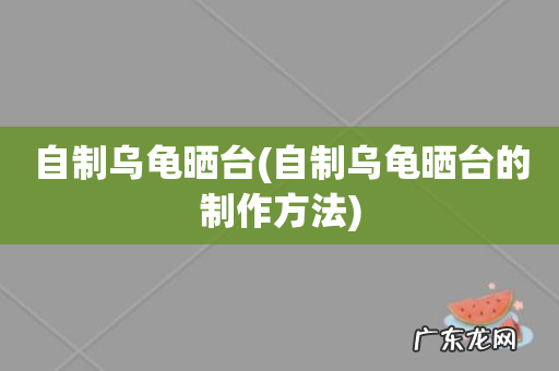 自制乌龟晒台的制作方法 自制乌龟晒台