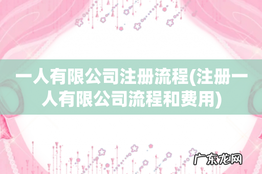 注册一人有限公司流程和费用 一人有限公司注册流程