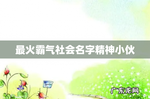 最火霸气社会名字精神小伙