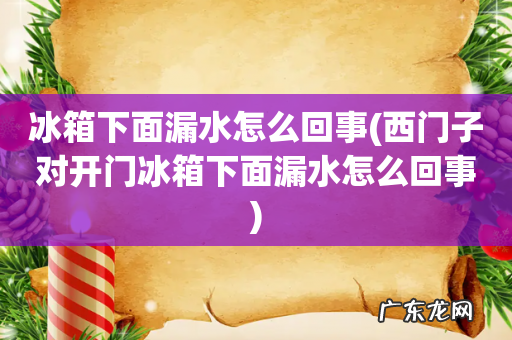 西门子对开门冰箱下面漏水怎么回事 冰箱下面漏水怎么回事
