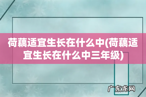 荷藕适宜生长在什么中三年级 荷藕适宜生长在什么中