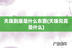 天珠究竟是什么 天珠到底是什么东西