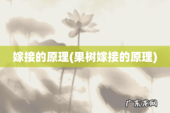 果树嫁接的原理 嫁接的原理