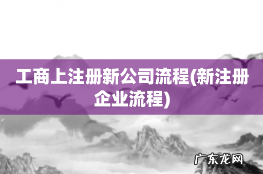 新注册企业流程 工商上注册新公司流程