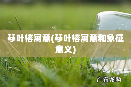 琴叶榕寓意和象征意义 琴叶榕寓意