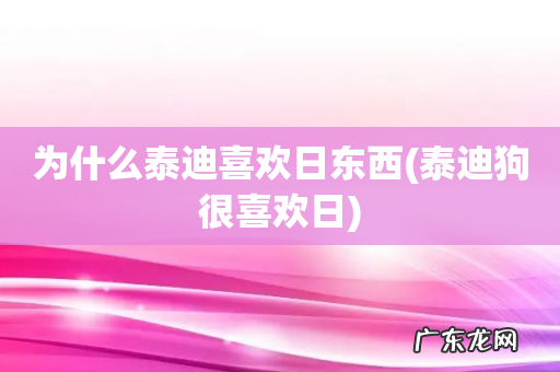 泰迪狗很喜欢日 为什么泰迪喜欢日东西