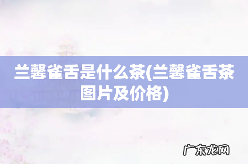 兰馨雀舌茶图片及价格 兰馨雀舌是什么茶