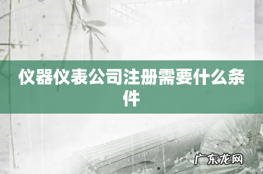 仪器仪表公司注册需要什么条件