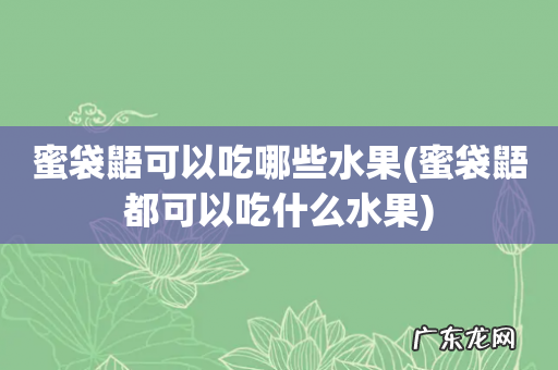蜜袋鼯都可以吃什么水果 蜜袋鼯可以吃哪些水果