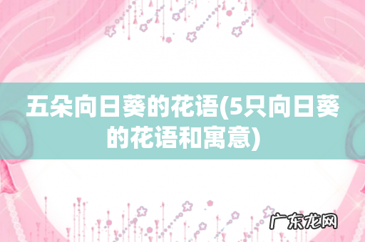 5只向日葵的花语和寓意 五朵向日葵的花语