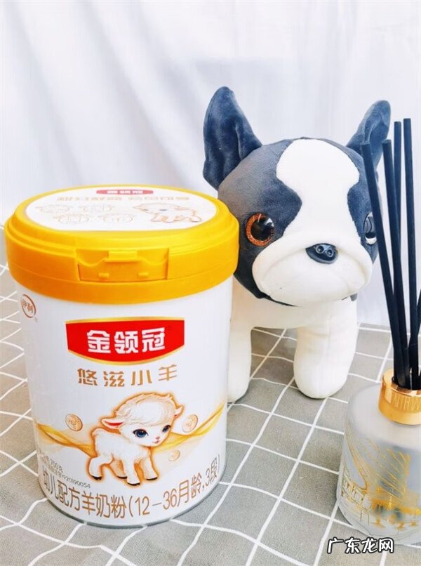 现在市面上哪款羊奶粉质量好 羊奶粉哪个牌子最好最安全