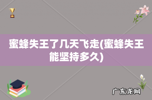 蜜蜂失王能坚持多久 蜜蜂失王了几天飞走