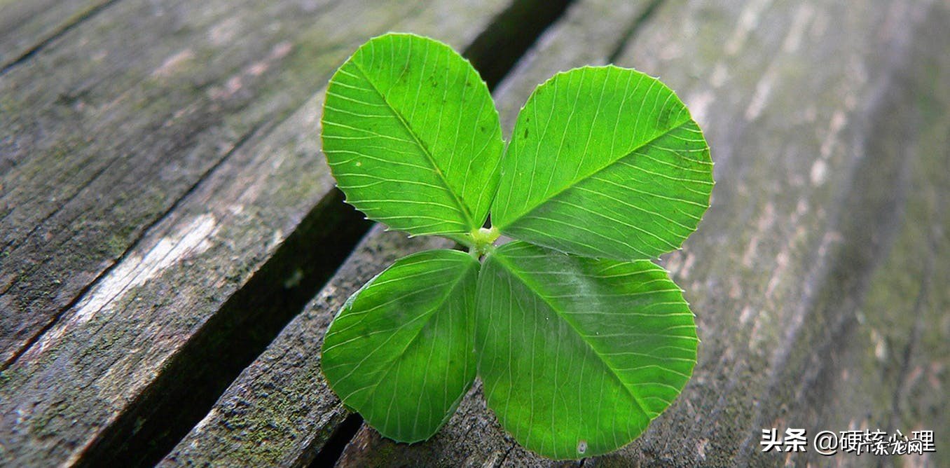 怎样才能逃离坏运气?