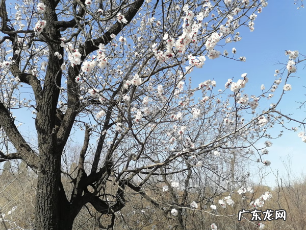 百善孝为先的例子 百善孝为先家风解读