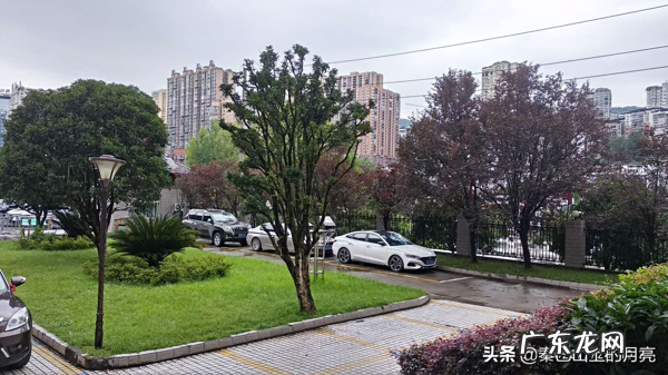 蜂蛹能治什么病 蜂蛹有什么风水