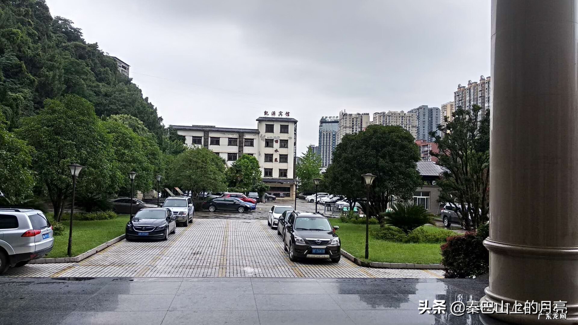 蜂蛹能治什么病 蜂蛹有什么风水