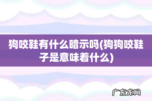 狗狗咬鞋子是意味着什么 狗咬鞋有什么暗示吗