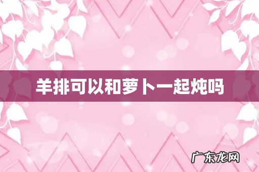 羊排可以和萝卜一起炖吗