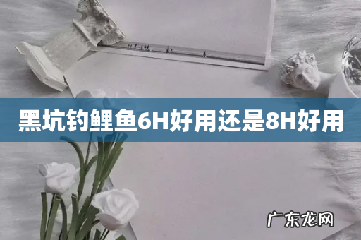 黑坑钓鲤鱼6H好用还是8H好用