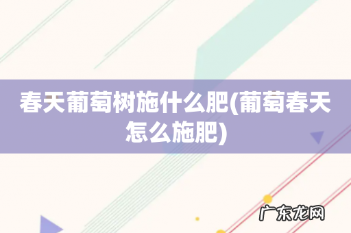 葡萄春天怎么施肥 春天葡萄树施什么肥