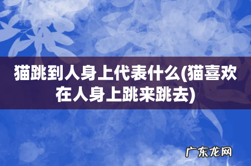 猫喜欢在人身上跳来跳去 猫跳到人身上代表什么
