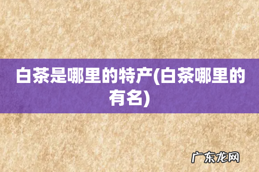 白茶哪里的有名 白茶是哪里的特产