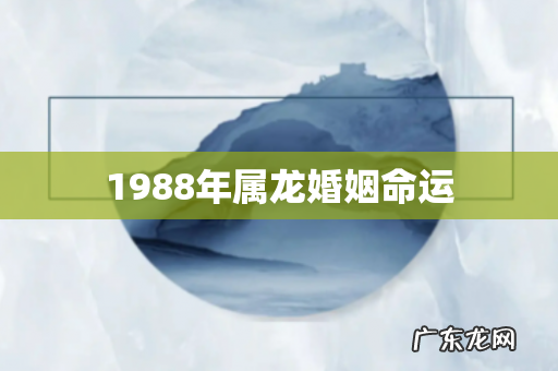 1988年属龙婚姻命运