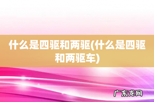 什么是四驱和两驱车 什么是四驱和两驱