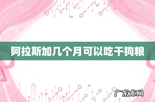 阿拉斯加几个月可以吃干狗粮