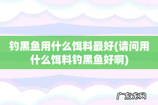 请问用什么饵料钓黑鱼好啊 钓黑鱼用什么饵料最好