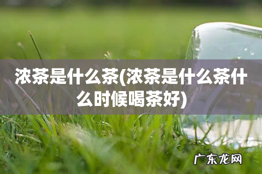 浓茶是什么茶什么时候喝茶好 浓茶是什么茶