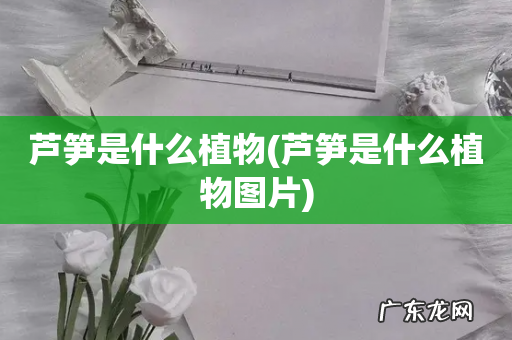 芦笋是什么植物图片 芦笋是什么植物