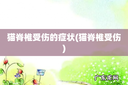 猫脊椎受伤 猫脊椎受伤的症状